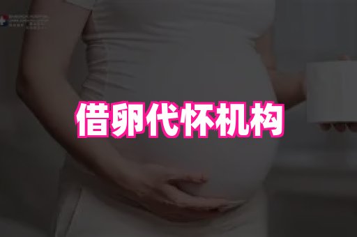 无锡助孕网 2